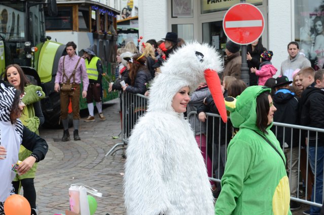 umzug simmern_140301_vb_114